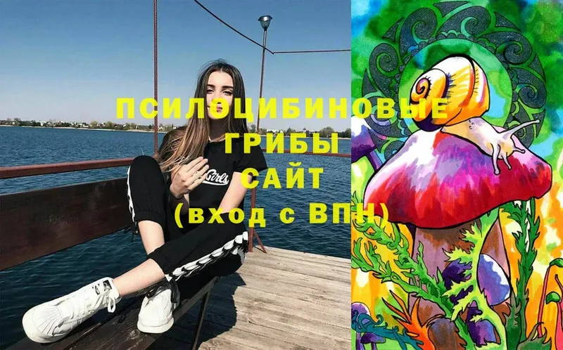 Псилоцибиновые грибы мицелий  Миллерово 